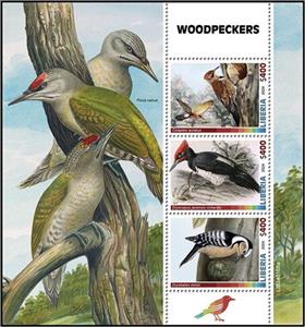 Mini Sheet, Woodpeckers, Liberia,  , Birds, Woodpeckers