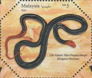 Stamp, Red-Headed Krait (Bungarus flaviceps), Malaysia,  , Animals (Fauna), Reptiles, Snakes
