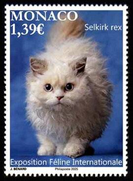 2025 International Cat Exposition