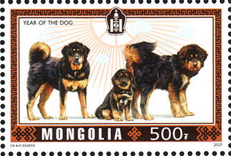 Dogs