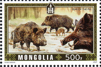Wild Pigs