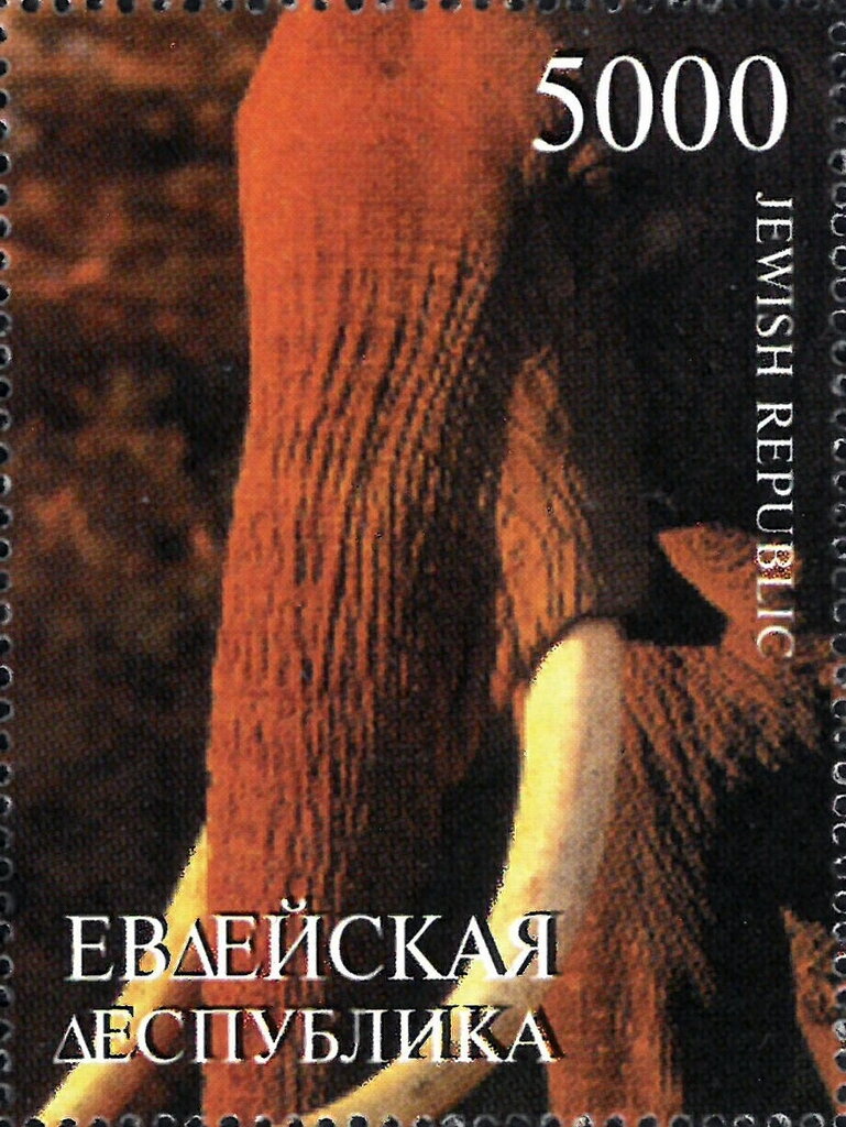Elephants
