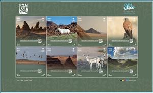 Full Pane, Royal Reserve Development Authority, Saudi Arabia,  , Animals (Fauna), Birds of Prey, Tourism