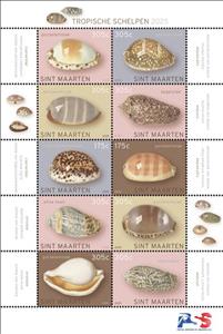 Mini Sheet, Tropical Shells, Sint Maarten,  , Shells