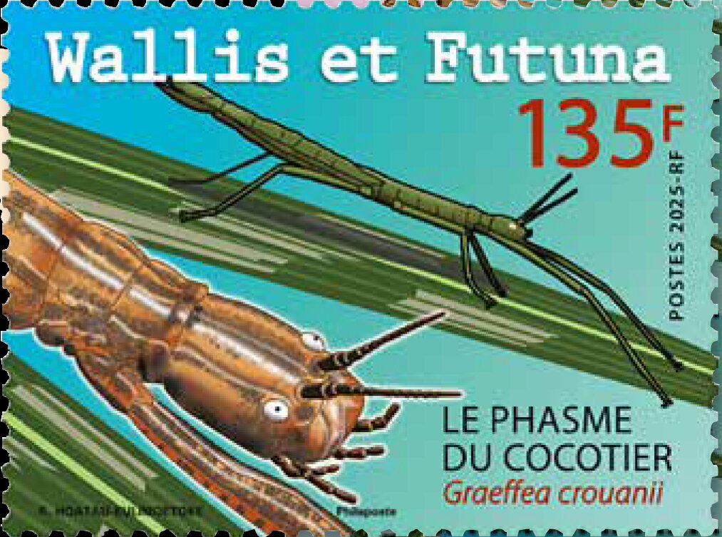 Graeffea crouanii