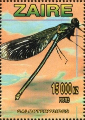 Calopterygides