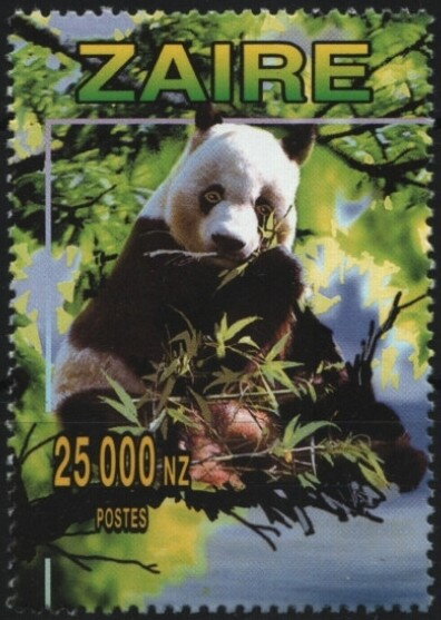 Panda eating