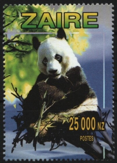 Panda eating
