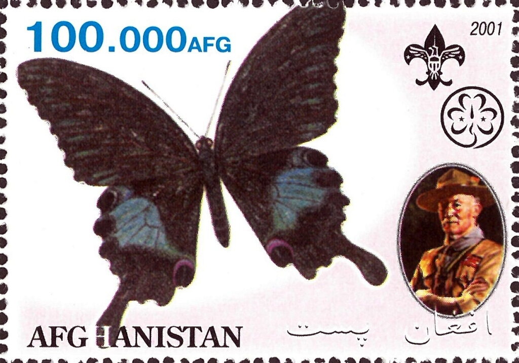 Butterflies