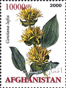 Stamp, Medicinal Plants, Afghanistan,  , Medicines, Plants (Flora)