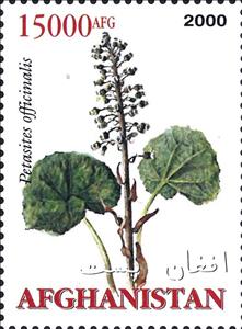 Stamp, Medicinal Plants, Afghanistan,  , Medicines, Plants (Flora)