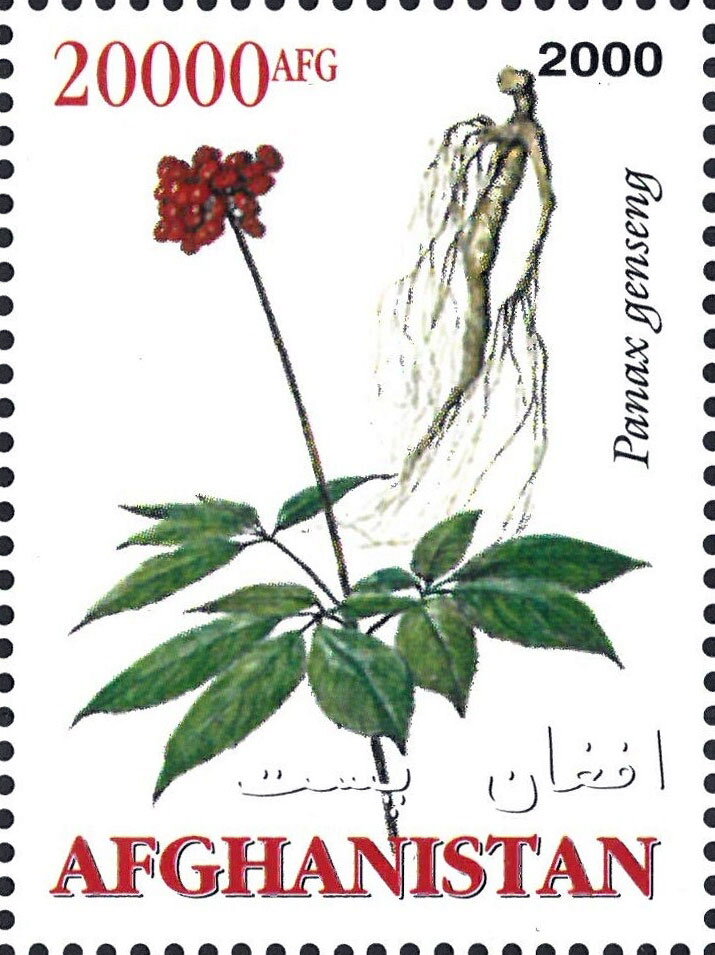 Medicinal Plants