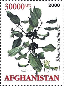 Stamp, Medicinal Plants, Afghanistan,  , Medicines, Plants (Flora)