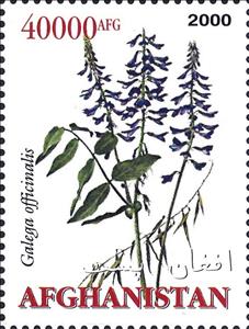 Stamp, Medicinal Plants, Afghanistan,  , Medicines, Plants (Flora)