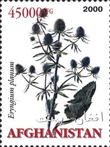 Stamp, Medicinal Plants, Afghanistan,  , Medicines, Plants (Flora)