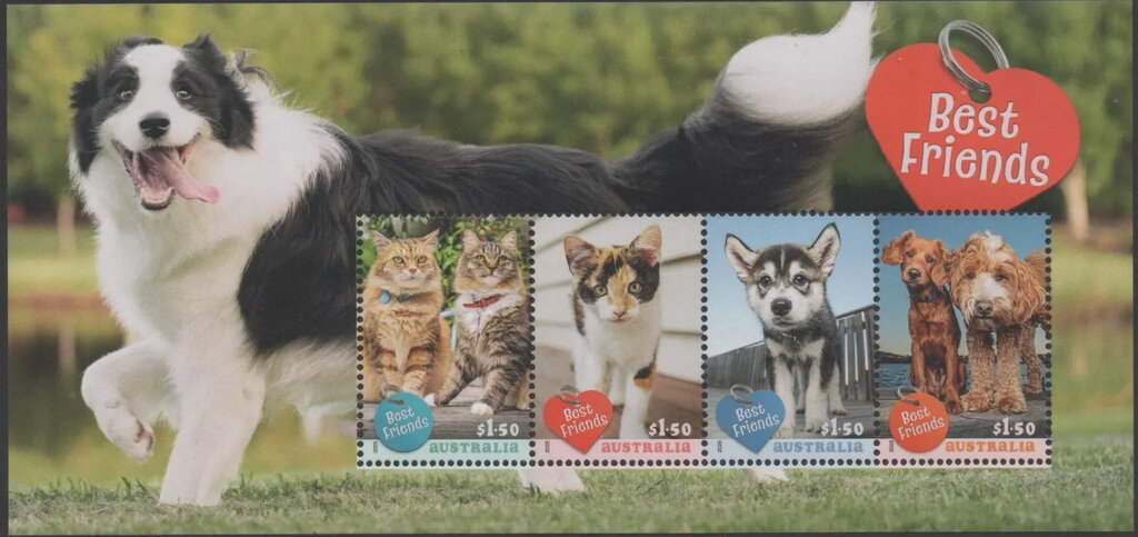 Best Friends : Cats & Dogs