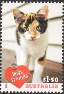 Stamp, Cat, Australia,  , Animals (Fauna), Cats, Mammals