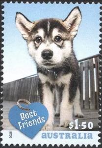 Stamp, Dog, Australia,  , Animals (Fauna), Dogs, Mammals