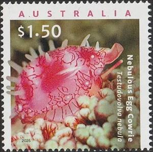 Stamp, Nebulous Egg Cowrie (Testudovolva nebula), Australia,  , Molluscs