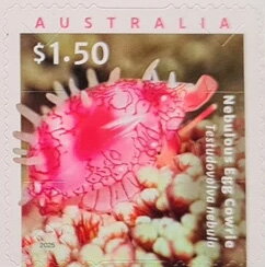 Stamp, Nebulous Egg Cowrie (Testudovolva nebula), Australia,  , Molluscs