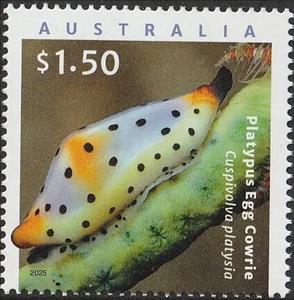 Stamp, Platypus Egg Cowrie (Cuspivolva platysia), Australia,  , Molluscs