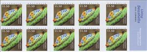 Booklet, Platypus Egg Cowrie (Cuspivolva platysia), Australia,  , Molluscs