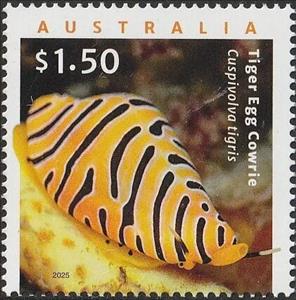 Stamp, Tiger Egg Cowrie (Cuspivolva tigris), Australia,  , Molluscs