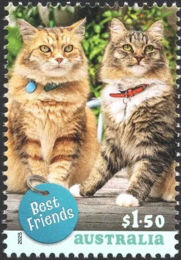 Two Cats