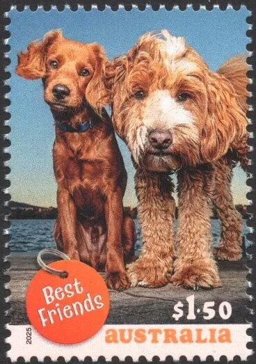 Two Dogs