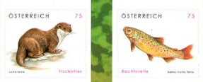 Eurasian Otter (Lutra lutra) and River Trout