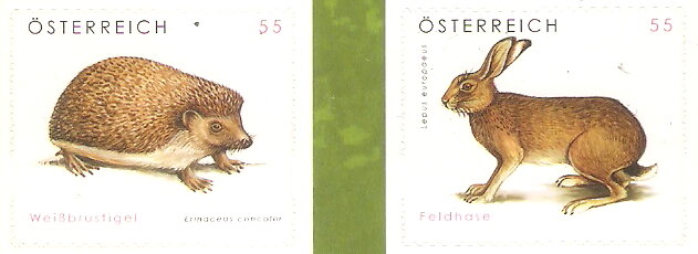 Hedgehog and European Hare