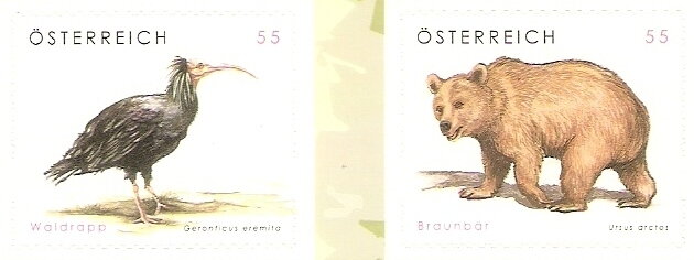 Northern Bald Ibis and Brown Bear