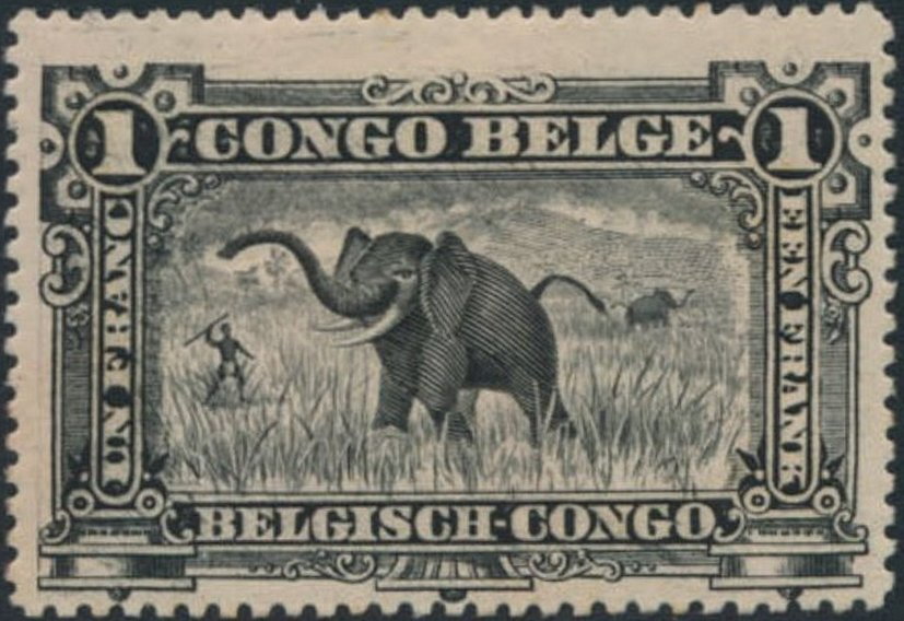 African Elephant (Loxodonta africana) - New Color