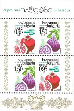 Bulgarian Fruits