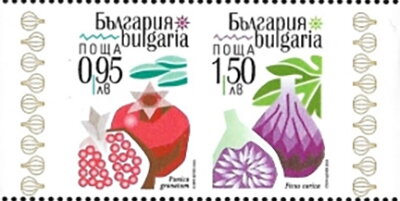 Bulgarian Fruits