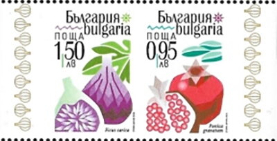 Bulgarian Fruits
