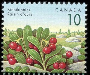 Stamp, Kinnikinnick (Arctostaphylos uva-ursi), Canada,  , Fruits and Berries, Plants (Flora)