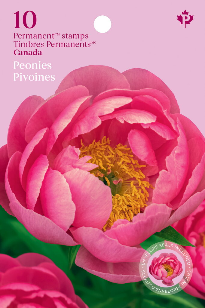 Peonies (Paeonia sp)