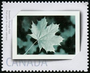 Stamp, Photo Album Frame, Canada,  , Frames, Greetings, Leaves, Plants (Flora)