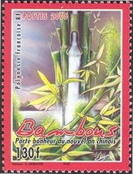 Bamboo