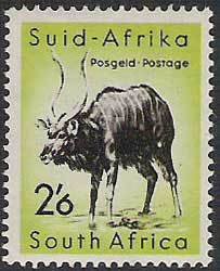 Nyala (Tragelaphus angasii)