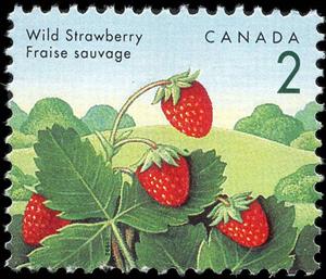 Stamp, Wild Strawberry (Fragaria vesca), Canada,  , Fruits and Berries, Plants (Flora)