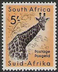 Giraffe (Giraffa camelopardalis)