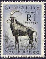 Sable Antelope (Hippotragus niger)