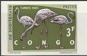 Stamp, Greater Flamingo (Phoenicopterus roseus), Congo, Democratic Republic (Kinshasa),  , Animals (Fauna), Birds, Flamingos