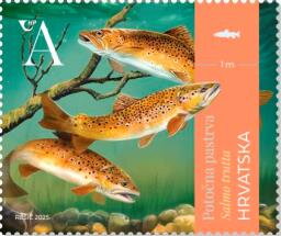 Stamp, Brown Trout (Salmo trutta), Croatia,  , Animals (Fauna), Fishes