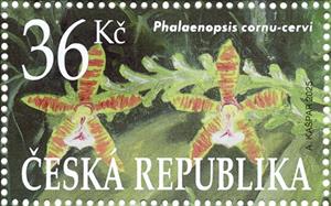 Stamp, Phalaenopsis cornu-cervi, Czech Republic,  , Gardens, Plants (Flora)