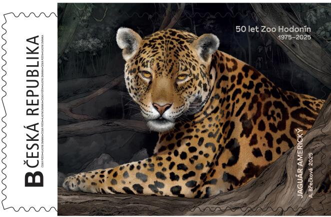 Zoo Hodonín jaguár