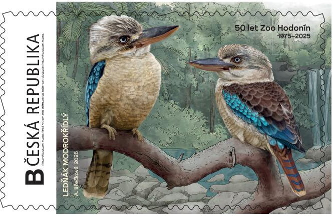Zoo Hodonín ledňák. kookaburra
