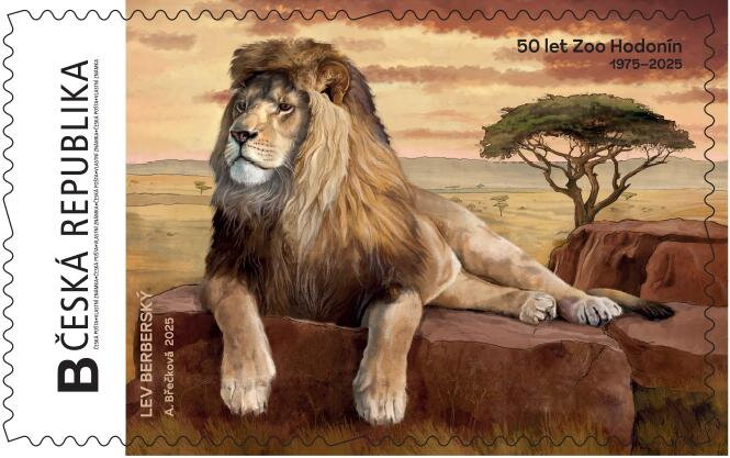 Zoo Hodonín lev. Lion